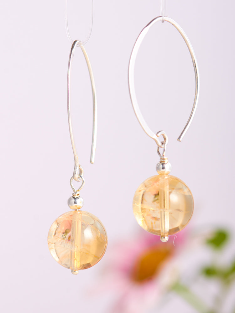 crystal simple earrings